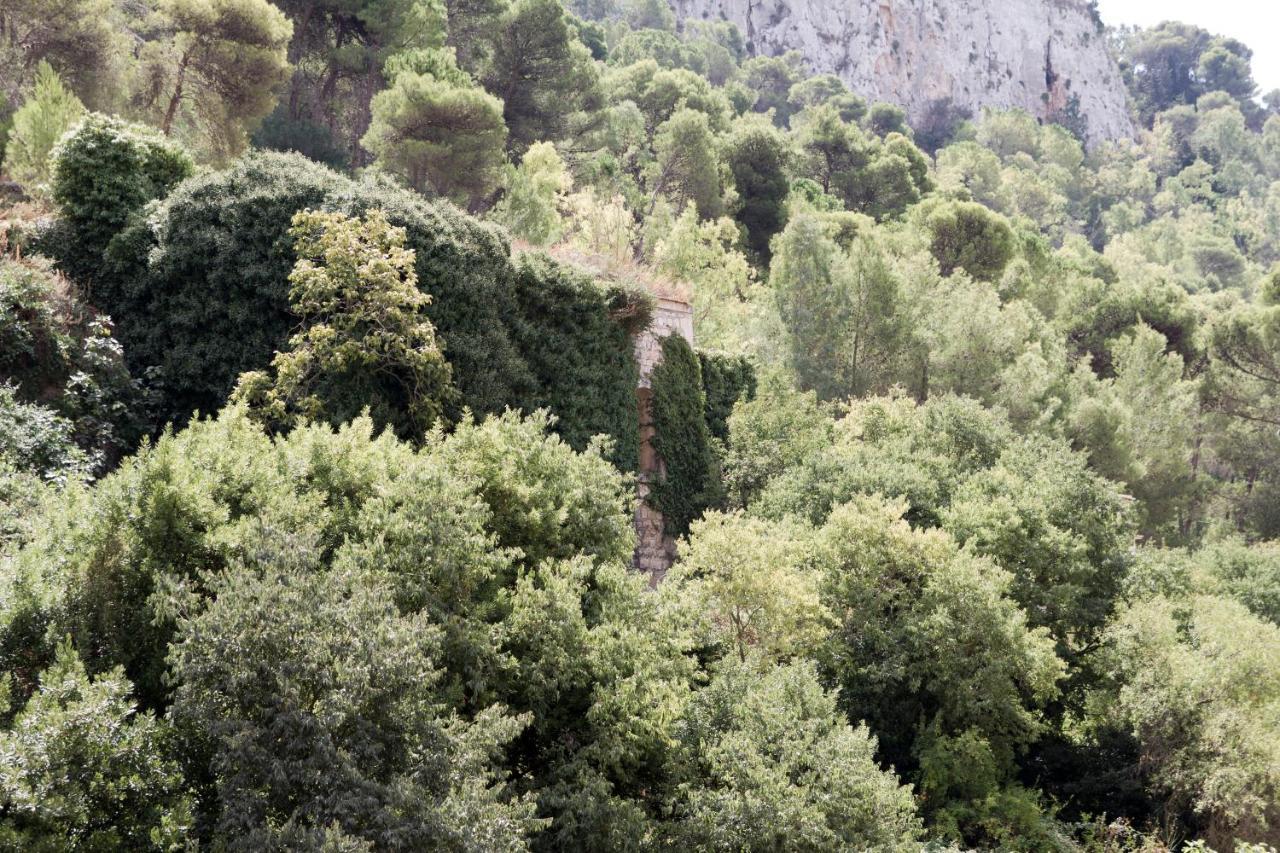 Casa Degli Avi Don Neli, Immersa Nella Natura モーディカ エクステリア 写真