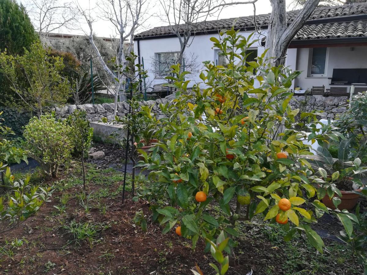 Casa Degli Avi Don Neli, Immersa Nella Natura モーディカ エクステリア 写真