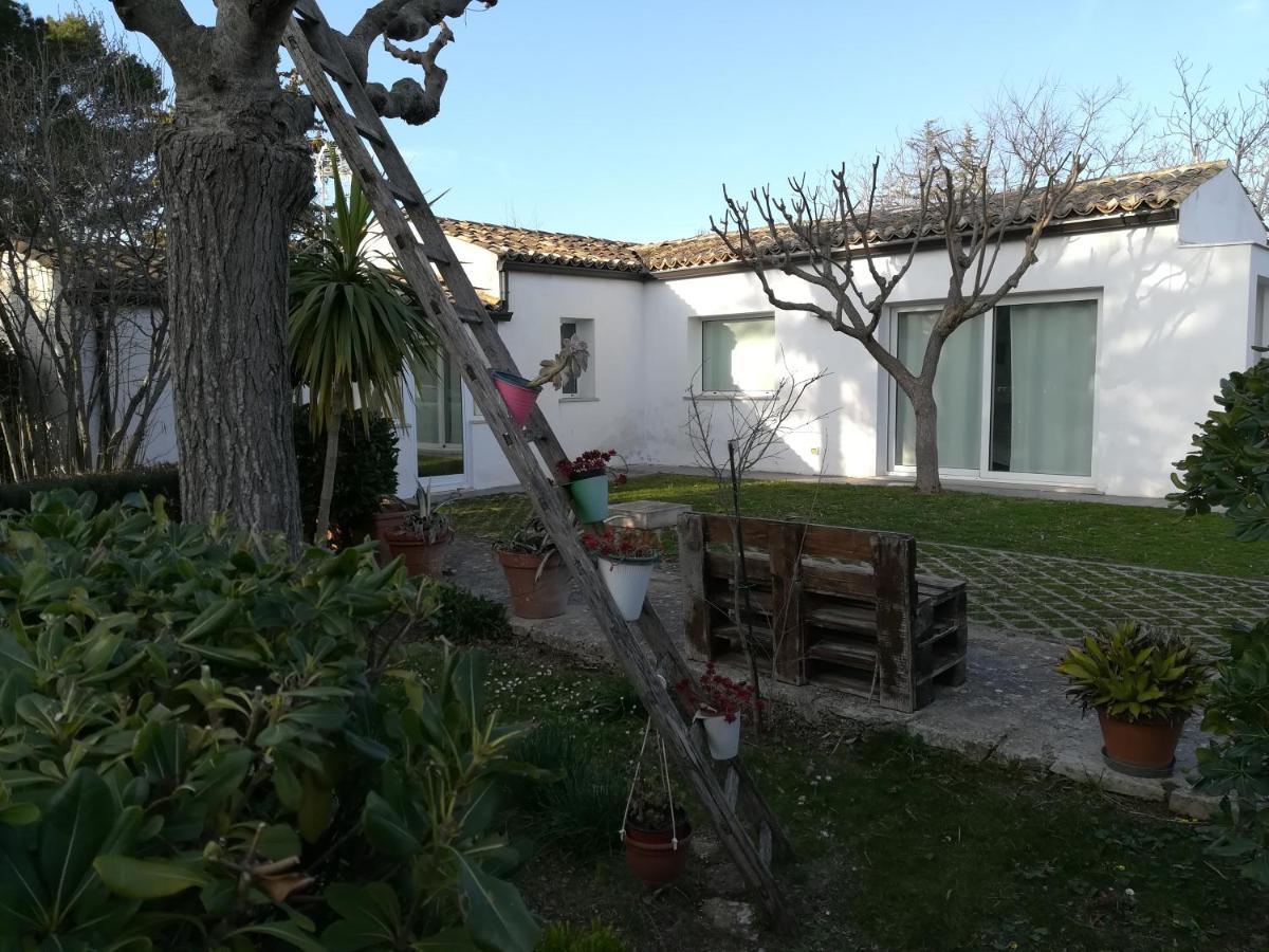 Casa Degli Avi Don Neli, Immersa Nella Natura モーディカ エクステリア 写真